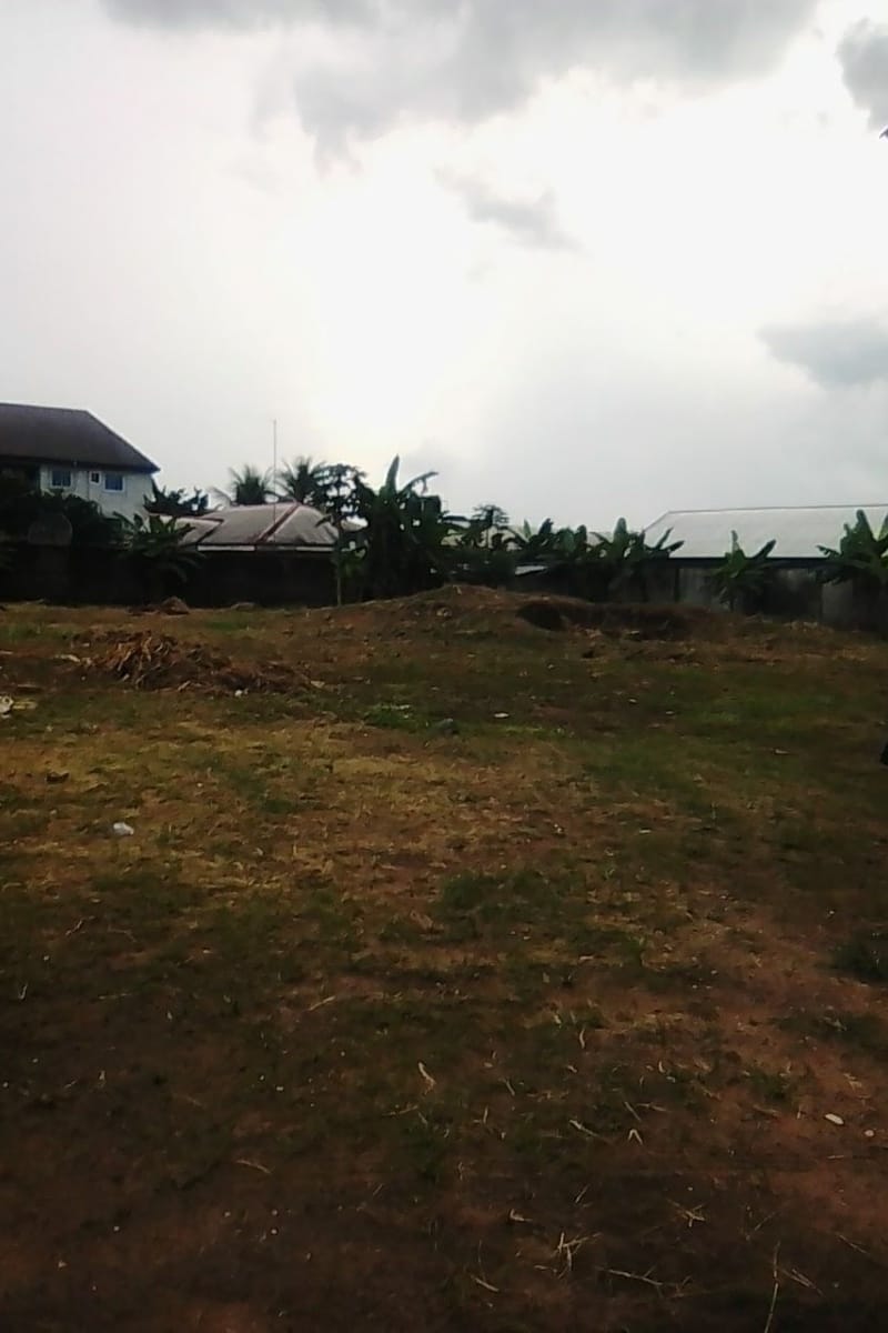 Another testimony from our ministry was the donation of land in Port Harcourt for the work of the ministry, providing a place for future church and discipleship outreach 